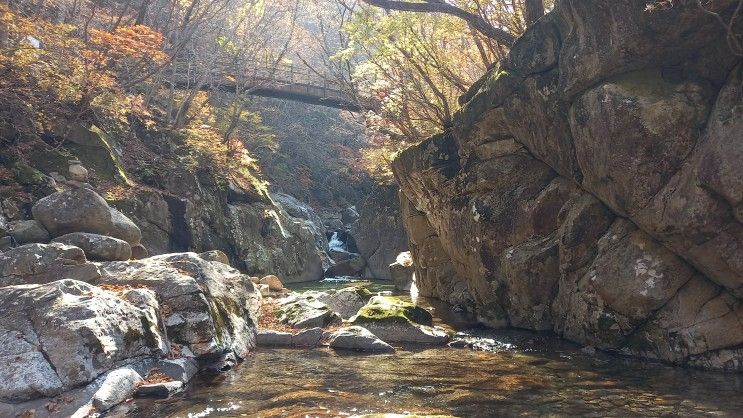 전북 남원 여행 – 지리산 뱀사골계곡, 와운마을 탐방