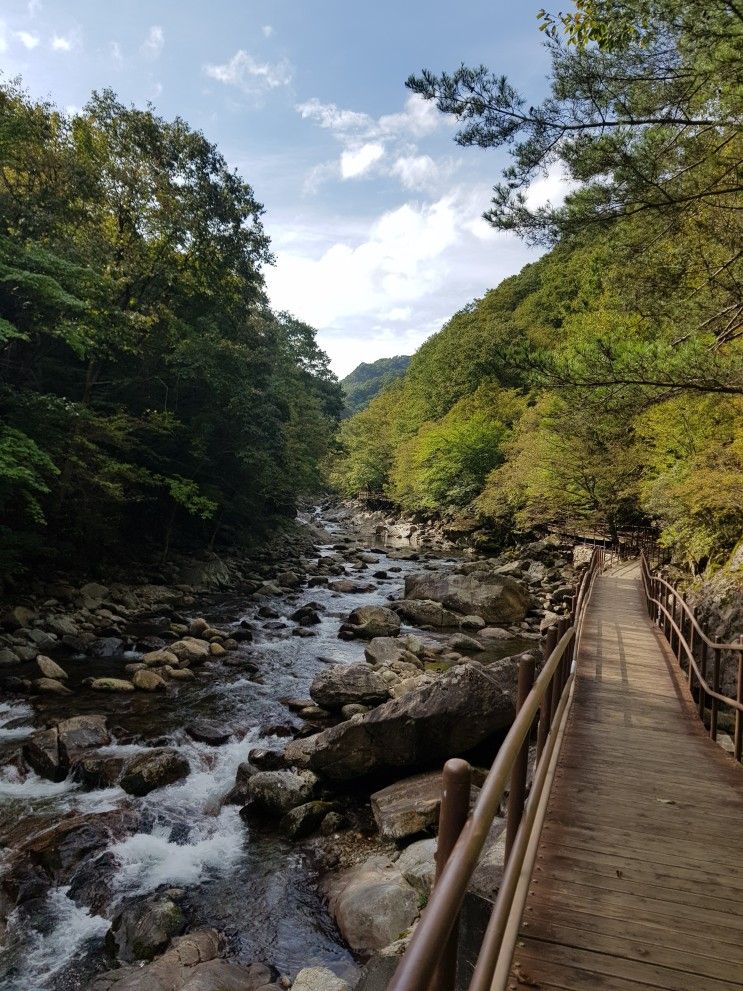 지리산 뱀사골계곡 트레킹..9.25