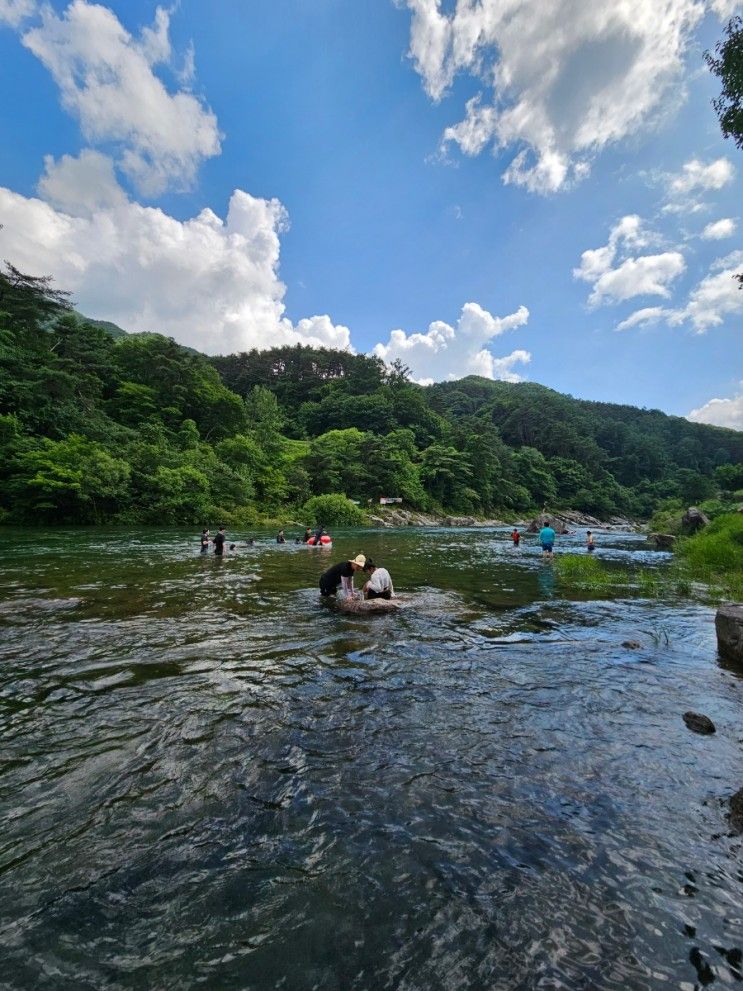 지리산 뱀사골 계곡 펜션 평생가든 소윤정펜션 단체 모임도...