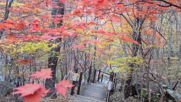 지리산 단풍산행은 뱀사골 계곡을 따라