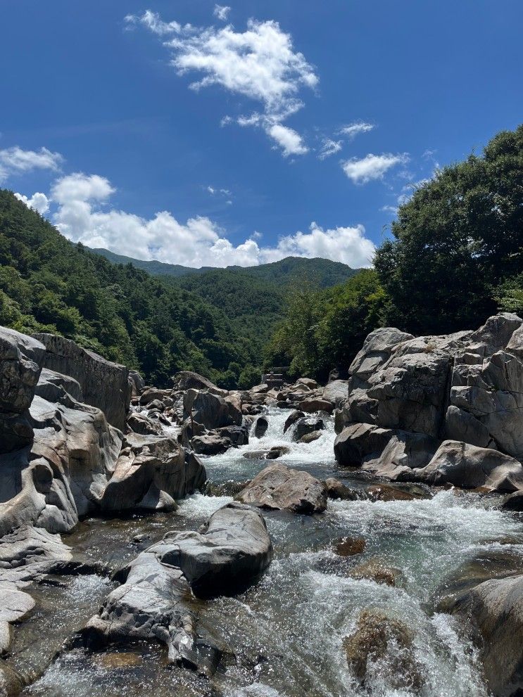 지리산 뱀사골 계곡으로 여름휴가 다녀왔어요 :)