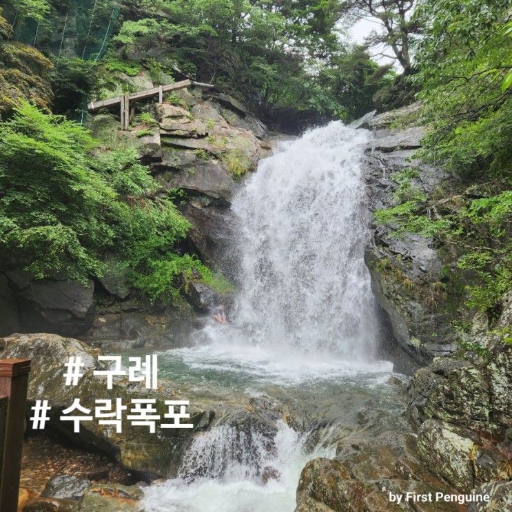 [구례 라이프] 드디어 수락폭포 가기 좋은 날. 본격 장마철 계곡...