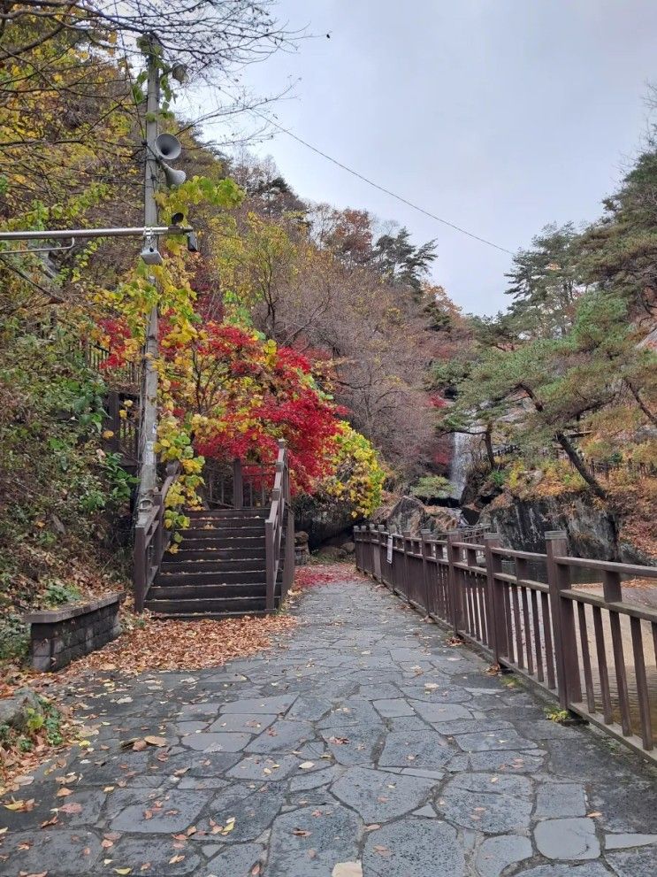 구례 수락폭포 가던 길