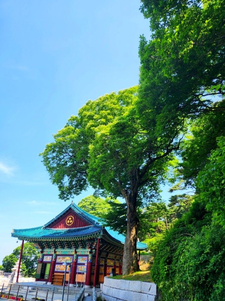 음성군/ 다시 찾은 봉학골 산림욕장, 가섭사