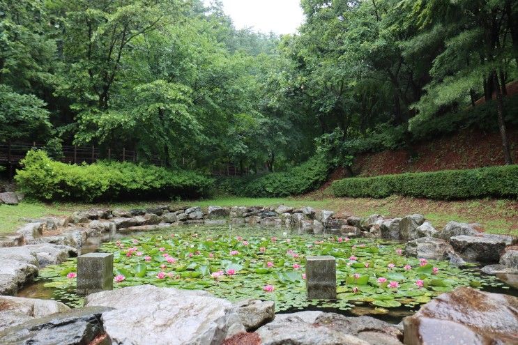 [기자단] 음성 여름 여행지 추천 봉학골 산림욕장