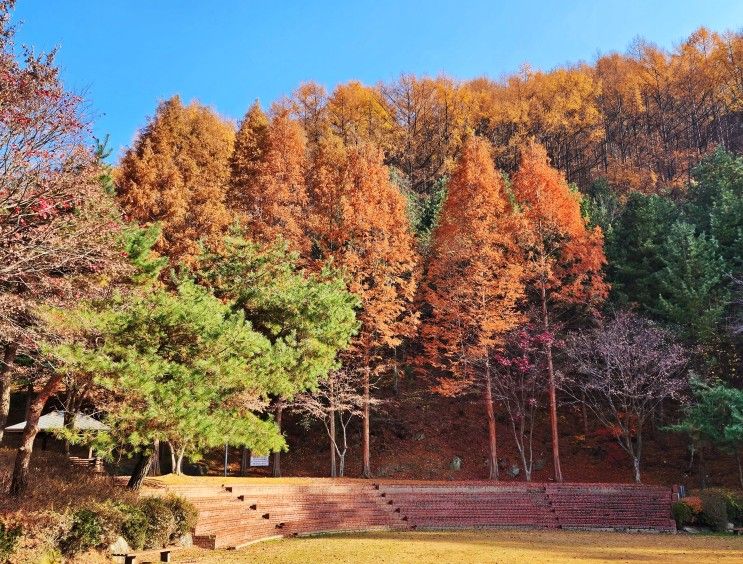 주말 여행 / 충북 음성 봉학골산림욕장