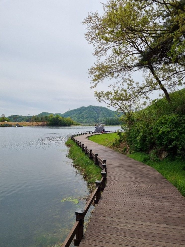 음성 봉학골산림욕장 무장애나눔길 전망대, 용산지...