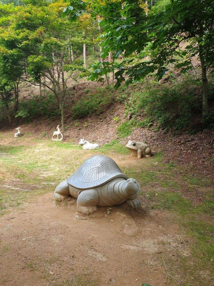 음성군 음성읍 용산리 '봉학골 산림욕장'