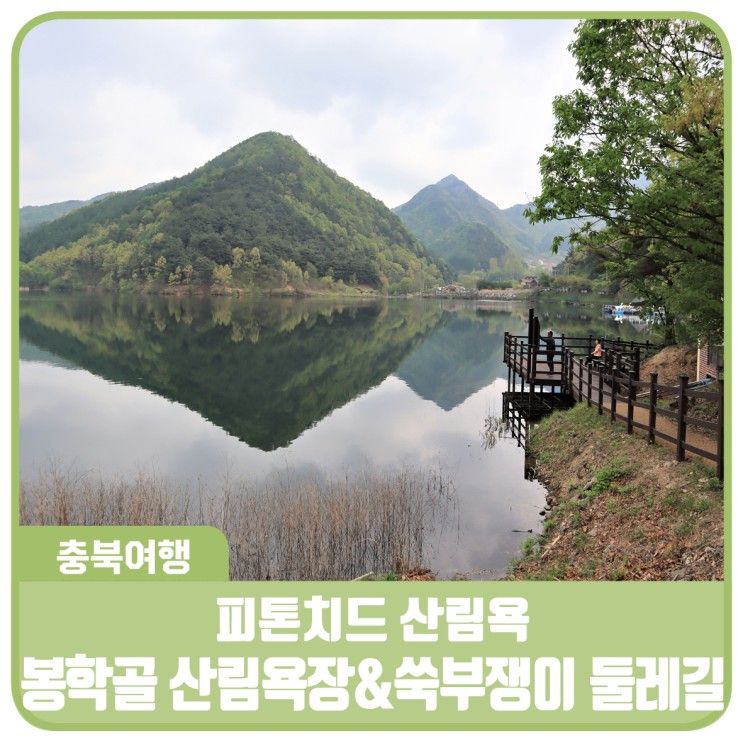 가득한 힐링 숲! 음성 봉학골 산림욕장 & 쑥부쟁이 둘레길