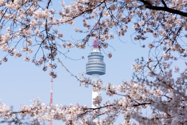 남산타워 N서울타워 전망대 입장권 할인, 남산 케이블카 가격...