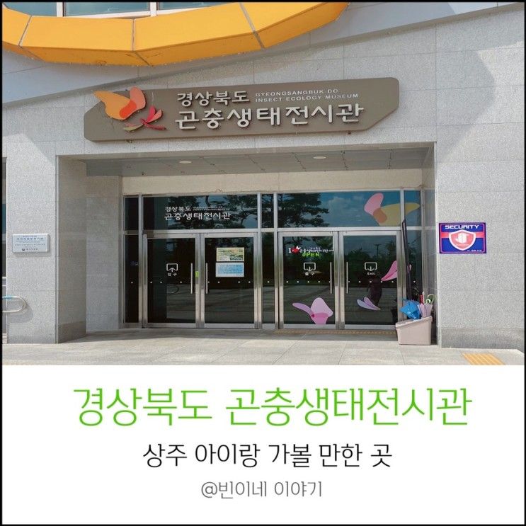 경상북도 곤충생태전시관 4살 아이와 가볼 만한 곳