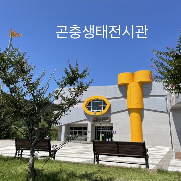 상주 교촌리 [ 곤충생태전시관 ]