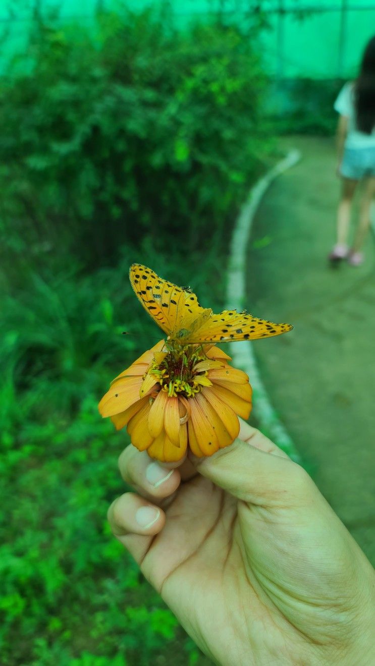 상주 곤충생태전시관