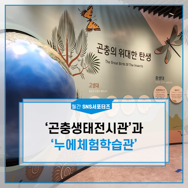 경북 상주 가볼 만한 곳... 좋은 '곤충생태전시관'과...