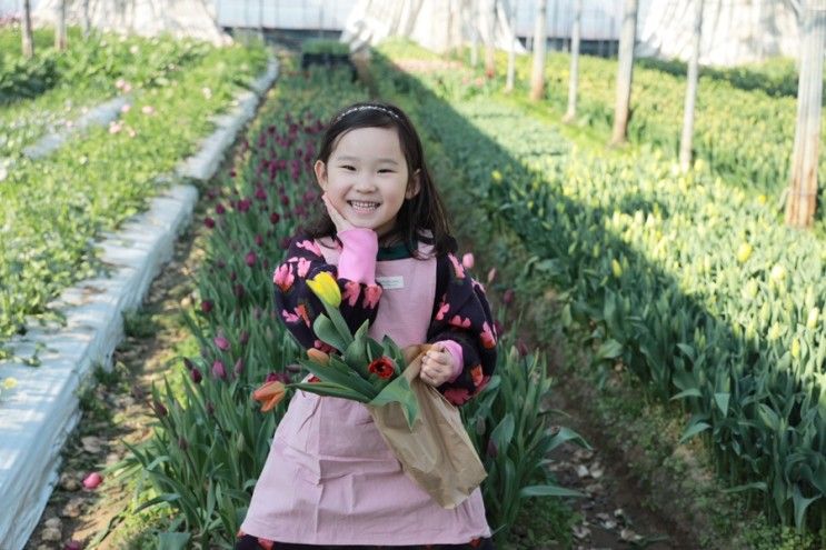 김해대동면) 플라워팜팜 아이도 엄마도 즐거운 튤립따기체험...