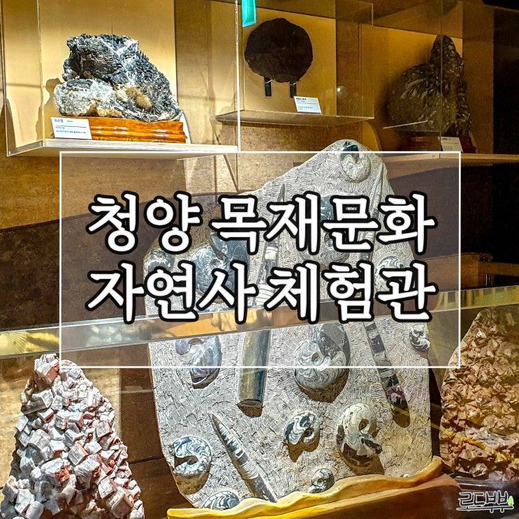 충남 아이와 갈만한 곳! 청양군 목재문화 자연사 체험관