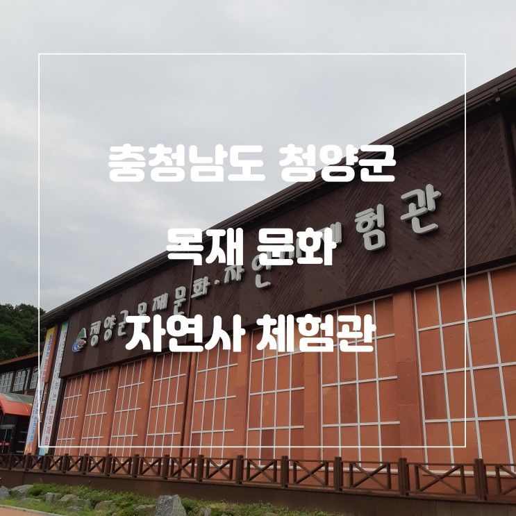 충남 청양에서 아이와 꼭 가야할 목재문화 자연사체험관