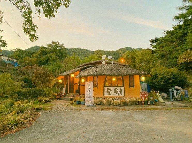 제천 맛집 :: 월악산유스호스텔 근처 맛집 ‘도원가든’