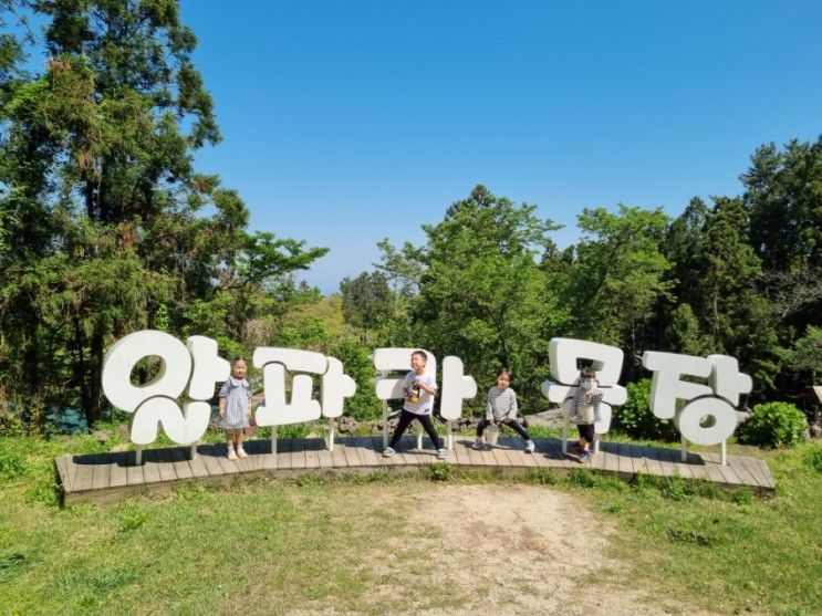 제주도 아이와가볼만한곳 도치돌목장 알파카목장 아이들이 좋아하는곳