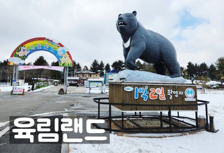 춘천아이랑가볼만한곳 '육림랜드' 겨울은 아닌 것 같아요.