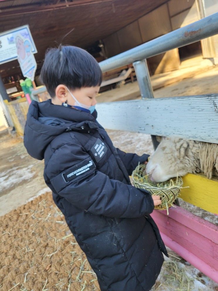 어린이놀이공원 아이와 가볼 만한 곳 추천 춘천 육림랜드