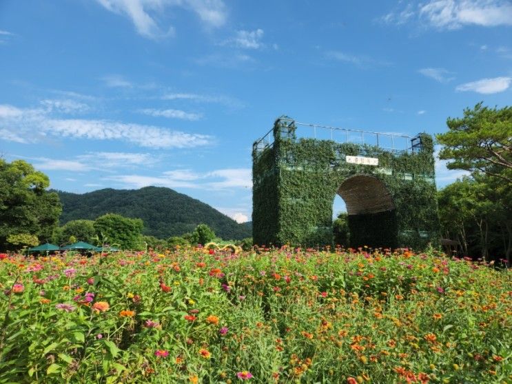 아이와 가볼만한 곳 :: 전라남도 함평자연생태공원 봄,가을에...