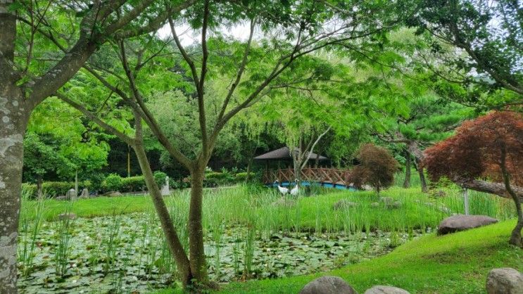 [함평 여행] 아이와 힐링 되는 넓은 수목원  함평자연생태공원