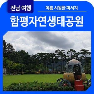 [전남 함평 여행] 함평자연생태공원 여름 풍경