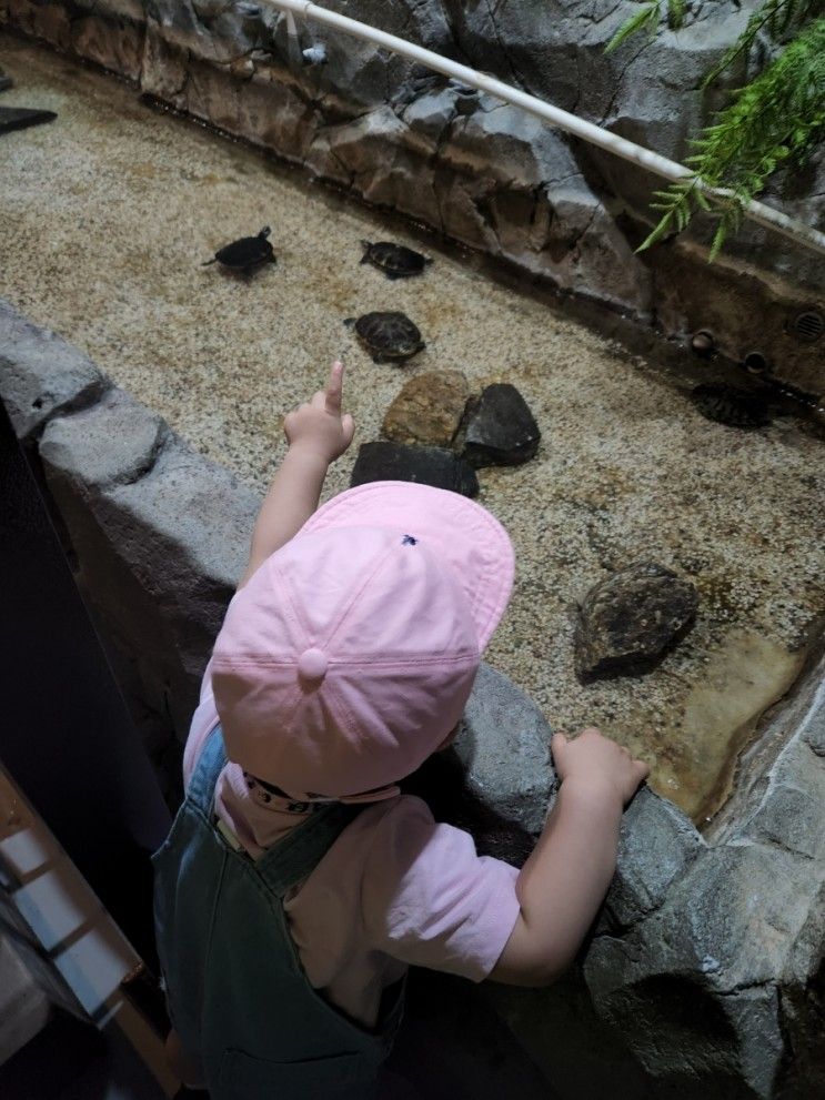 전남 함평 자연생태공원, 양서파충류 동물원, 식물원 아이랑 함께