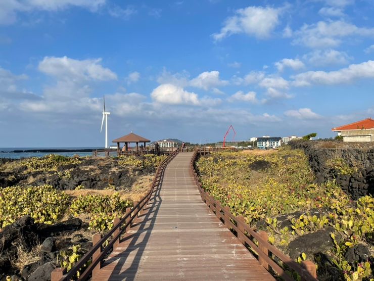 제주여행 : 금오름,명랑스낵,오지힐제주,동문야시장