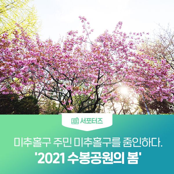 미추홀구 주민 미추홀구를 줌인하다. 2021 수봉공원의 봄