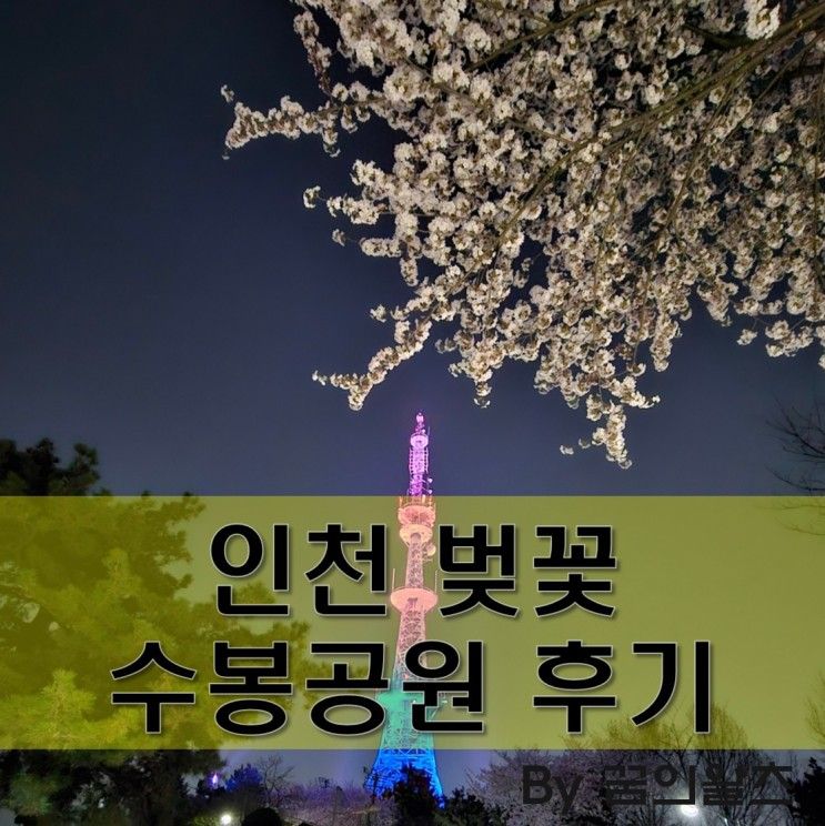 인천 수봉공원 벚꽃 명소 후기, 주차 정보 확인! 인공폭포 조명...