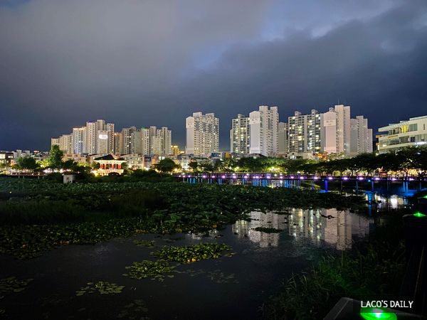 [서산 중앙호수공원] 충남 서산 가볼만한곳, 서산 데이트...