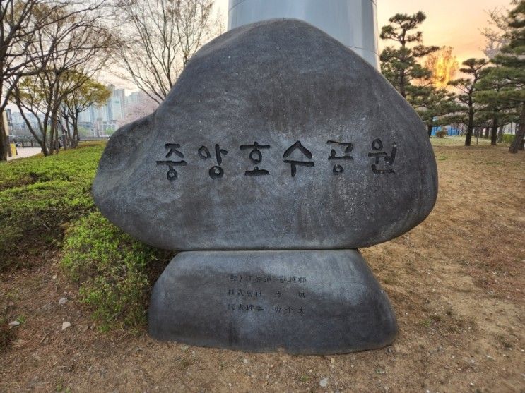 서산 중앙호수공원 벚꽃