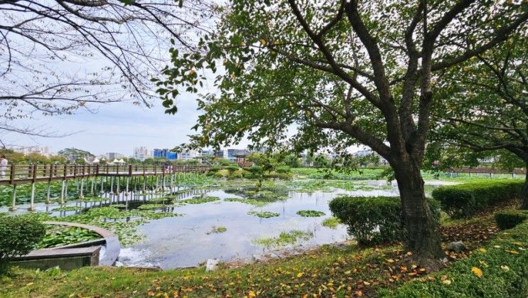 서산 중앙 호수공원