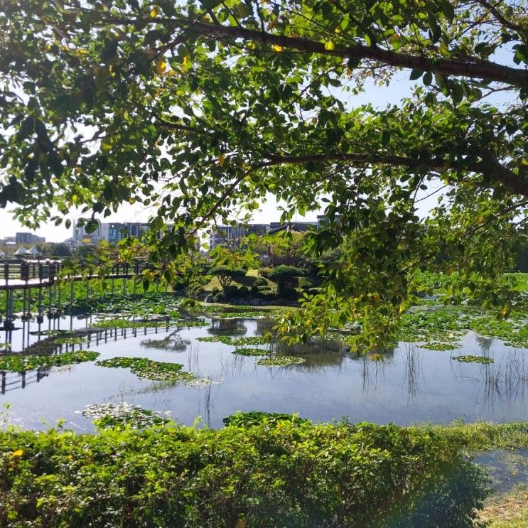 (충남 서산) 서산 중앙호수공원 근처에서 1박 하기 / 서산에서...