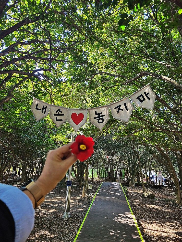 아이와 여수가볼만한곳 : 오동도 동백기차(feat. 오동도...