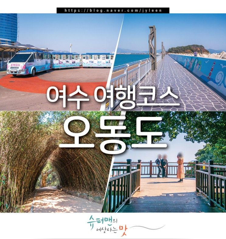 여수 여행 코스 놀거리 여수 오동도 여행지