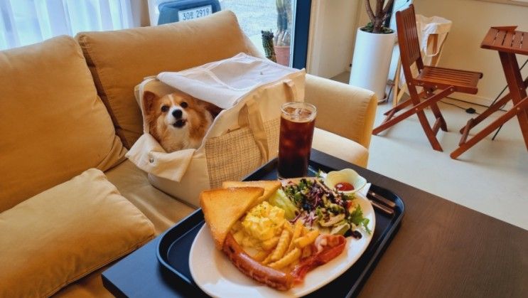 용인 고기리 애견동반 카페 인플럭스 포토존과 야외 테라스 좋음
