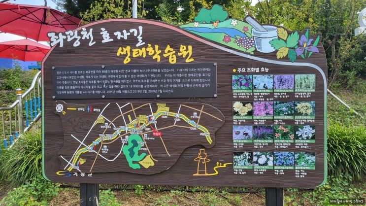 부산 정관/ 좌광천 길/ 구목정공원/ 윗골공원 산책하기
