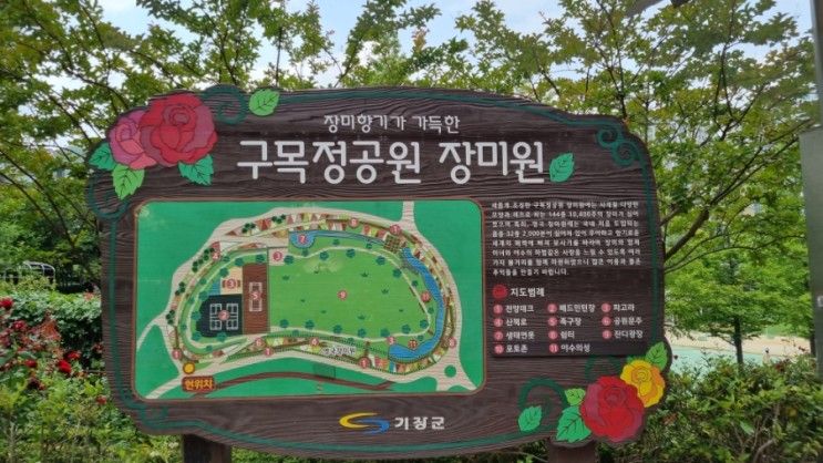 227.[부산]장미 향기 가득한 구목정 공원으로