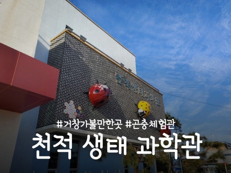 거창 천적 생태 과학관, AR증강 현실 사진 촬영하기