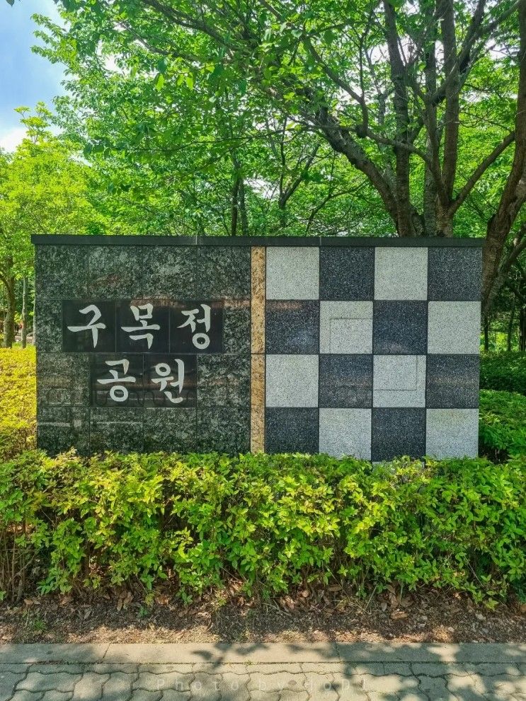 5월 부산 장미 명소 - 기장 정관 구목정 공원(+윗골공원)