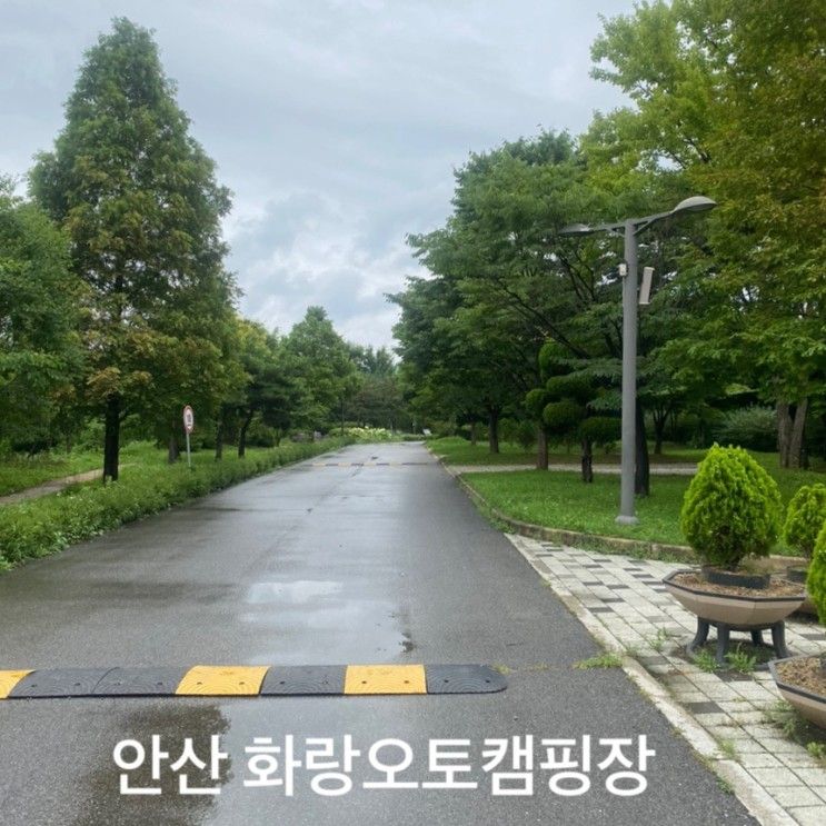 안산 화랑 오토캠핑장