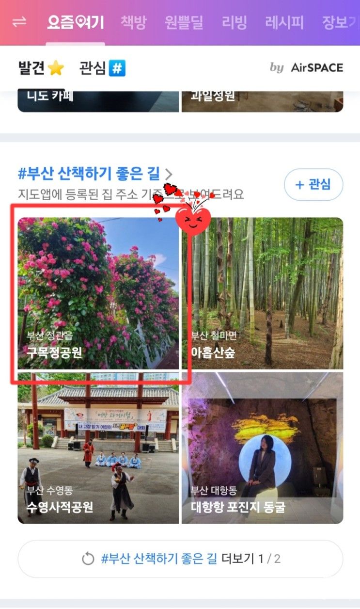 네이버 요즘여기판 메인! 부산 정관 장미공원 구목정공원