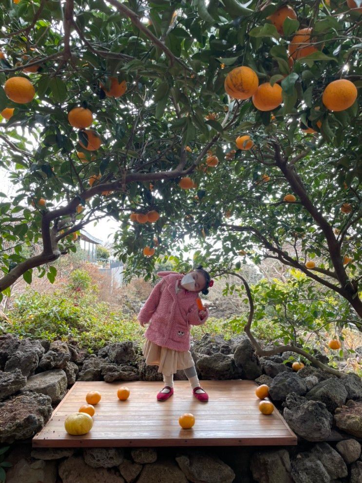 제주도 서귀포 가볼만한 곳 / 제주 숨도 카페 및 볼거리