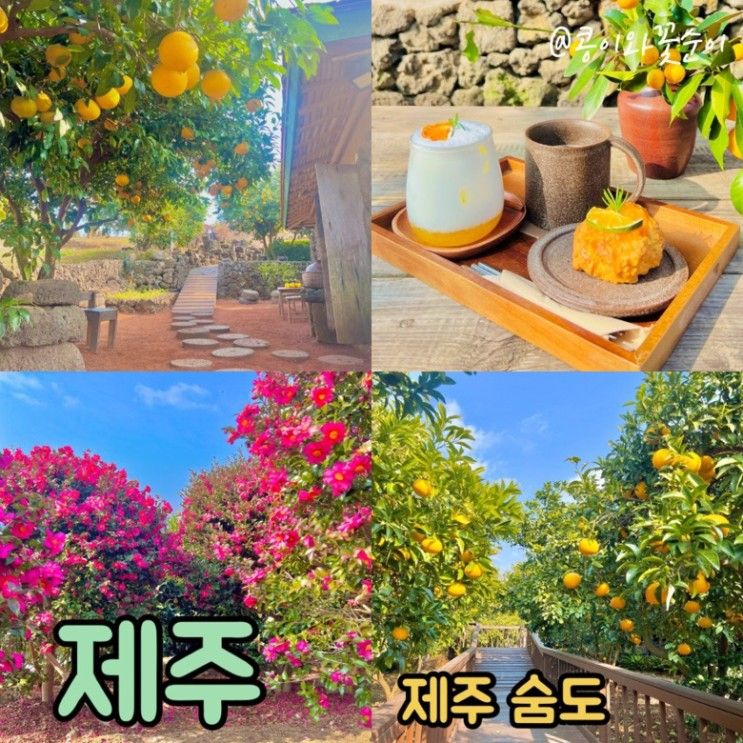 제주 아이랑 가볼만한곳 제주 숨도