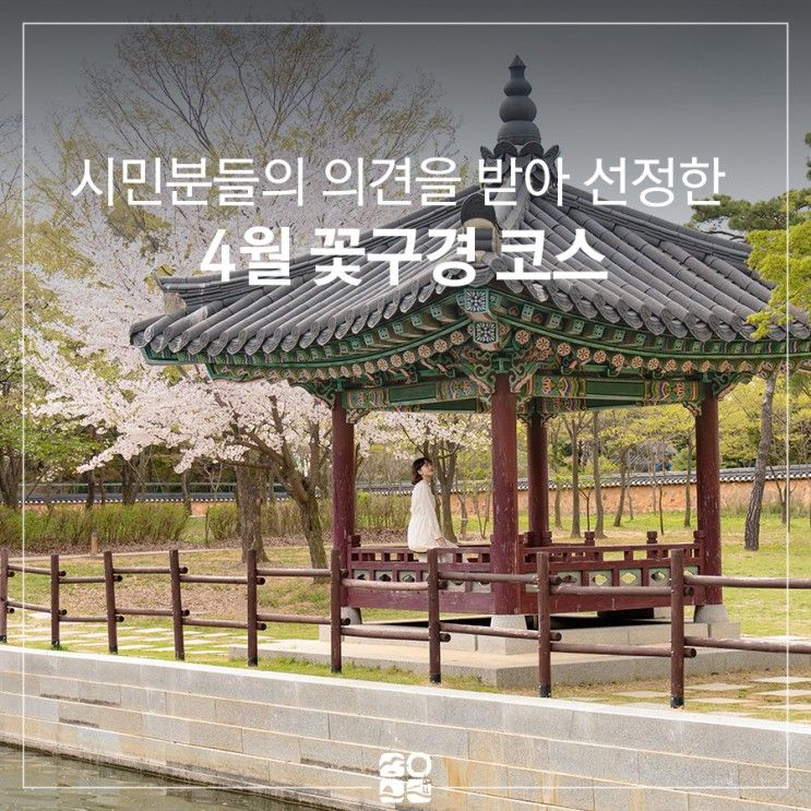 4월 꽃구경 ㅣ 인천 벚꽃 여행 코스 월미공원 자유공원 위크앤드라운지(wknd lounge)