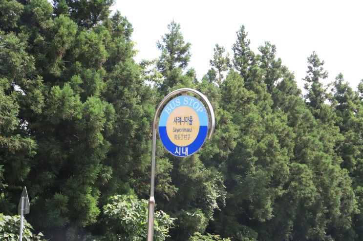 제주도에서 여름나기 제주 만장굴