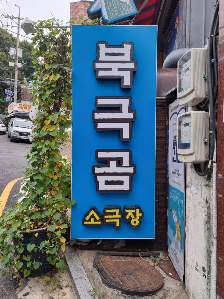 북극곰 예술여행 2탄/ 1탄과는 또 다른 재미/아이와...